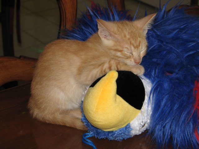 20100206 458.JPG